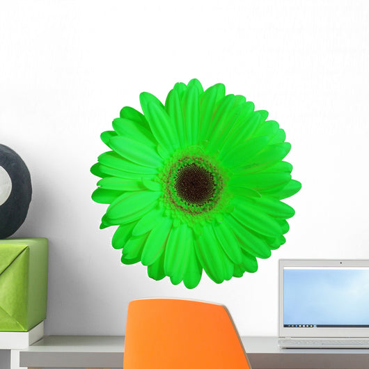 Green Gerber Daisy Flower Wall Decal