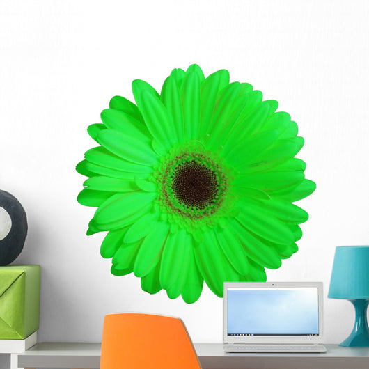 Green Gerber Daisy Flower Wall Decal