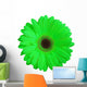Green Gerber Daisy Flower Wall Decal