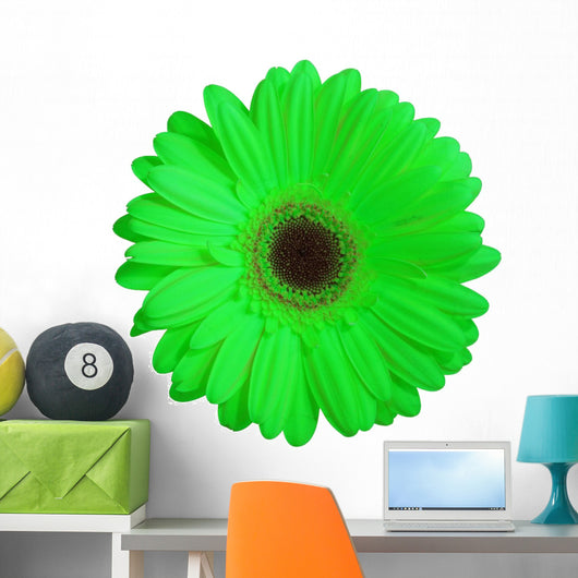 Green Gerber Daisy Flower Wall Decal