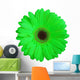 Green Gerber Daisy Flower Wall Decal
