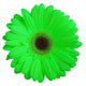 Green Gerber Daisy Flower Wall Decal