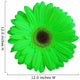 Green Gerber Daisy Flower Wall Decal