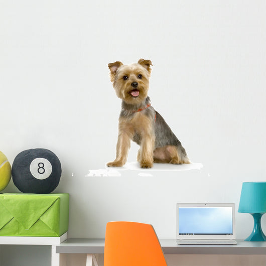 Yorkshire Wall Decal Design 2