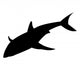 Shark Wall Decal Design 3