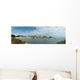 Side Perelo Wild Wall Decal