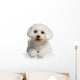 Bichon Maltais Wall Decal Design 3