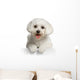Bichon Maltais Wall Decal Design 3