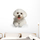 Bichon Maltais Wall Decal Design 3