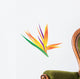 Illustration Bird Paradise Flower Wall Decal