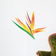 Illustration Bird Paradise Flower Wall Decal