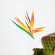 Illustration Bird Paradise Flower Wall Decal
