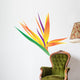 Illustration Bird Paradise Flower Wall Decal