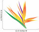 Illustration Bird Paradise Flower Wall Decal