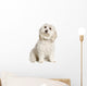 Bichon Maltais Wall Decal Design 2