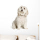 Bichon Maltais Wall Decal Design 2