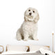 Bichon Maltais Wall Decal Design 2