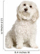 Bichon Maltais Wall Decal Design 2