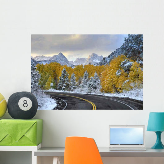 Empty Mountain Road Sierra Wall Decal