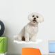 Bichon Maltais Wall Decal Design 1