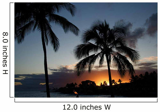 Evening Sunset Kauai Island Wall Decal