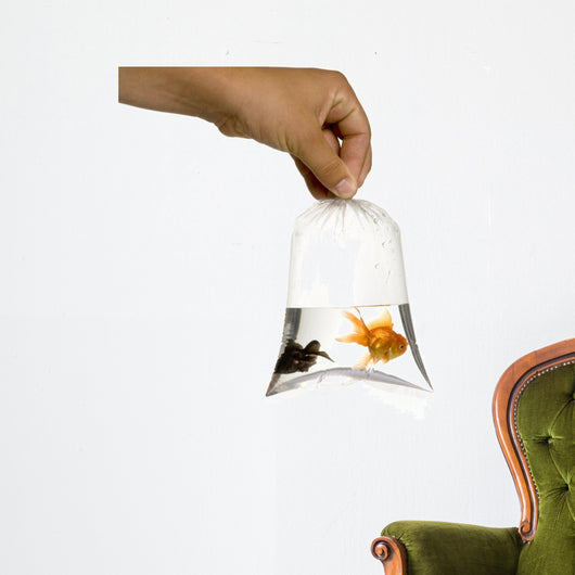 Poisson Rouge Wall Decal