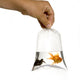 Poisson Rouge Wall Decal