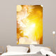 Art Beautiful Sunrise over Wall Decal