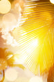Art Beautiful Sunrise over Wall Decal