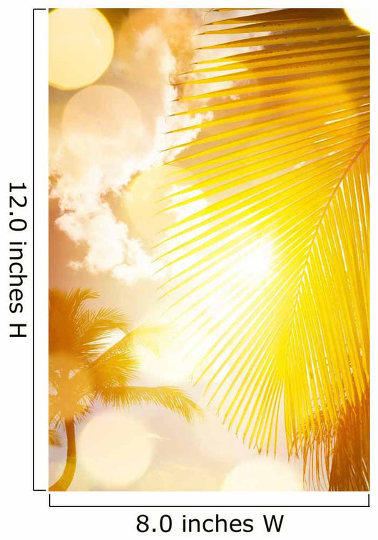 Art Beautiful Sunrise over Wall Decal
