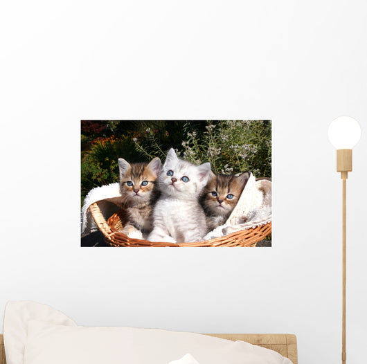 Three Kittens Wall Decal