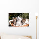 Three Kittens Wall Decal