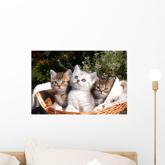 Three Kittens Wall Decal