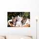 Three Kittens Wall Decal