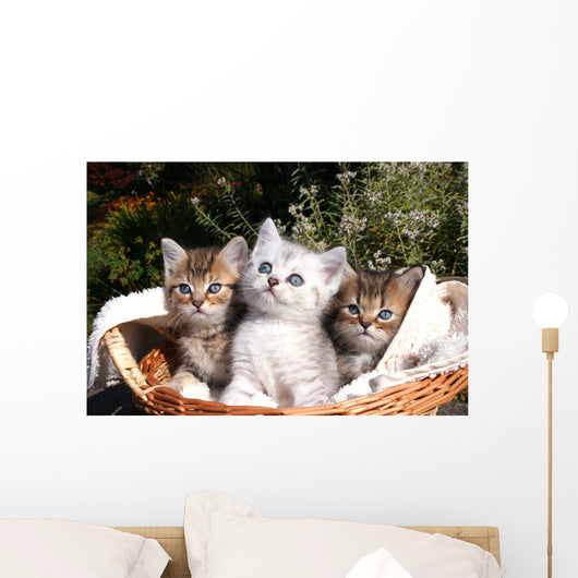Three Kittens Wall Decal