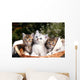 Three Kittens Wall Decal