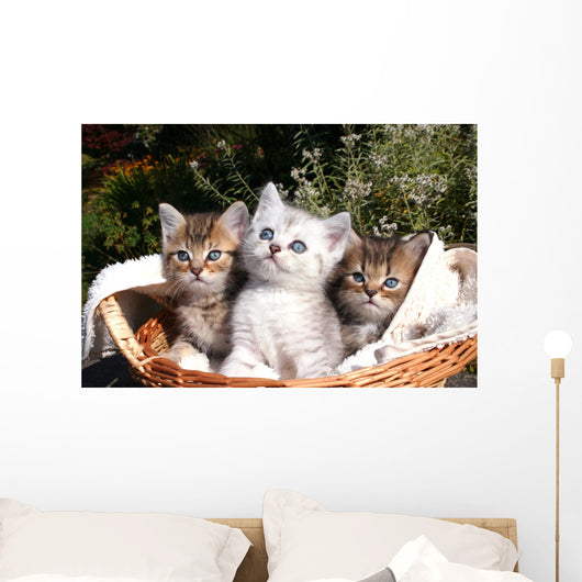 Three Kittens Wall Decal