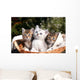 Three Kittens Wall Decal