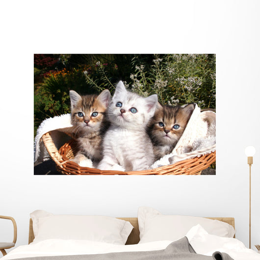 Three Kittens Wall Decal
