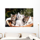 Three Kittens Wall Decal