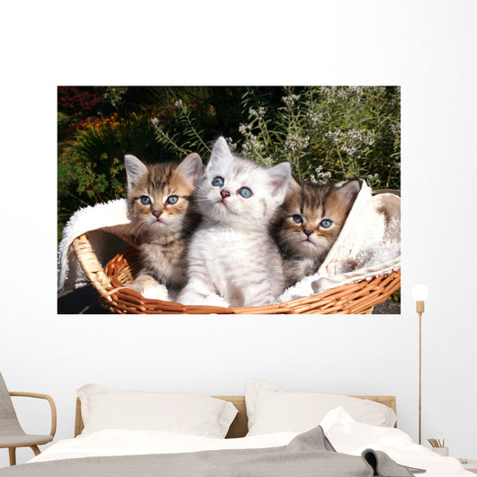 Three Kittens Wall Decal