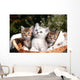 Three Kittens Wall Decal