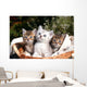 Three Kittens Wall Decal