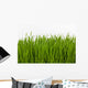 Wheat Grass Wall Decal