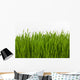 Wheat Grass Wall Decal