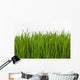 Wheat Grass Wall Decal