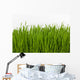 Wheat Grass Wall Decal