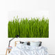 Wheat Grass Wall Decal