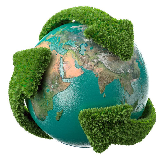 Globe with Green Arrows Wall Decal