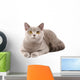 British Grey Cat Wall Decal